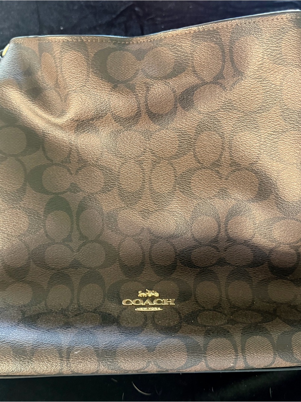 Coach Signature Hobo Bag